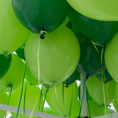 Pack of 50 balloons green