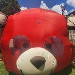 Bear balloon dome 